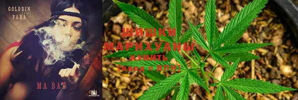 винт Алзамай