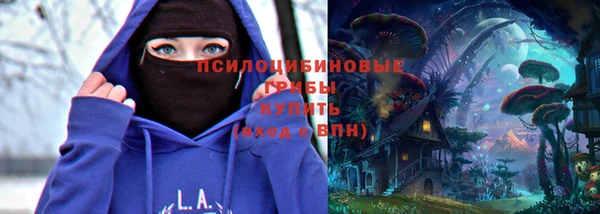 соль ск Алексеевка
